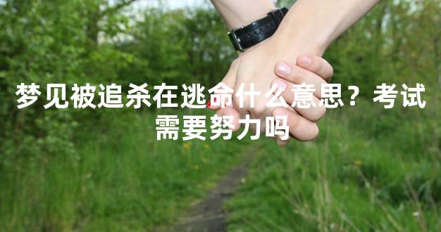 梦见被追杀在逃命什么意思？考试需要努力吗