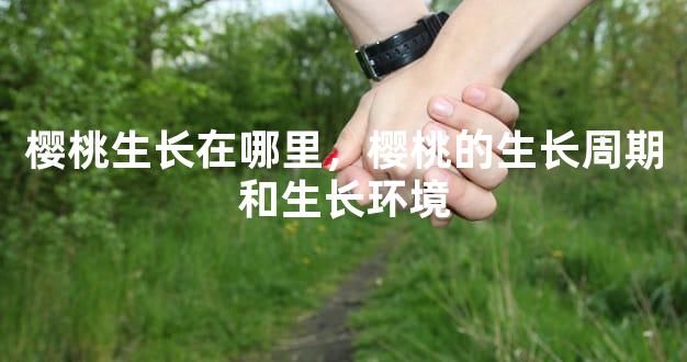 樱桃生长在哪里，樱桃的生长周期和生长环境