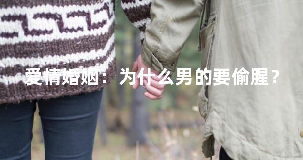 爱情婚姻：为什么男的要偷腥？