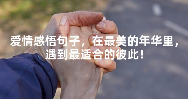 爱情感悟句子，在最美的年华里，遇到最适合的彼此