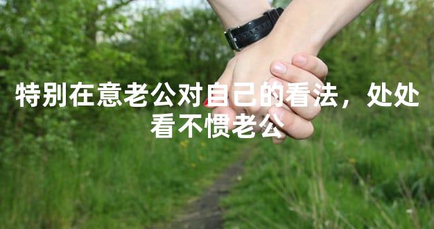 特别在意老公对自己的看法，处处看不惯老公