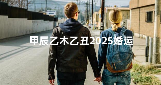 甲辰乙木乙丑2025婚运