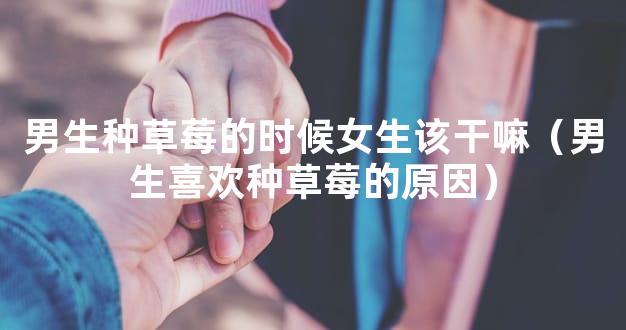 男生种草莓的时候女生该干嘛（男生喜欢种草莓的原因）