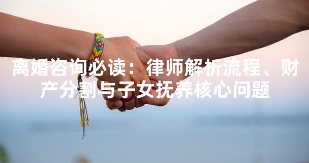 离婚咨询必读：律师解析流程、财产分割与子女抚养核心问题