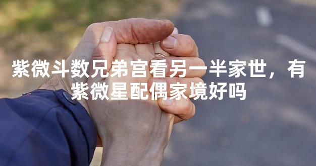 紫微斗数兄弟宫看另一半家世，有紫微星配偶家境好