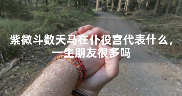 紫微斗数天马在仆役宫代表什么，一生朋友很多吗