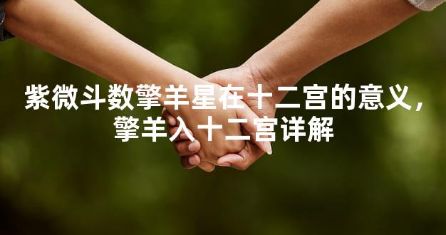 紫微斗数擎羊星在十二宫的意义，擎羊入十二宫详解
