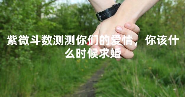 紫微斗数测测你们的爱情，你该什么时候求婚