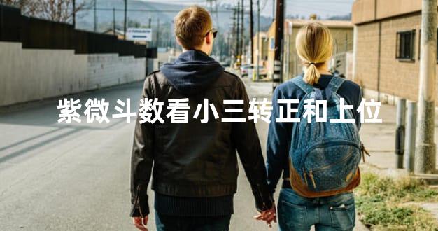 紫微斗数看小三转正和上位