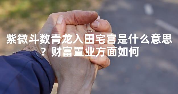 紫微斗数青龙入田宅宫是什么意思？财富置业方面如何