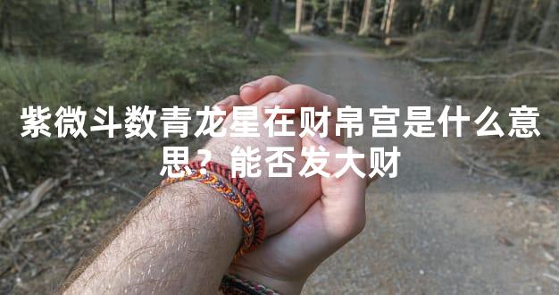 紫微斗数青龙星在财帛宫是什么意思？能否发大财