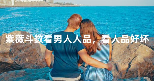紫薇斗数看男人人品，看人品好坏