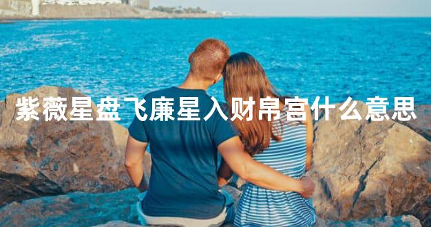 紫薇星盘飞廉星入财帛宫什么意思