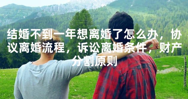 结婚不到一年想离婚了怎么办，协议离婚流程，诉讼