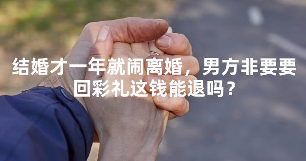 结婚才一年就闹离婚，男方非要要回彩礼这钱能退吗