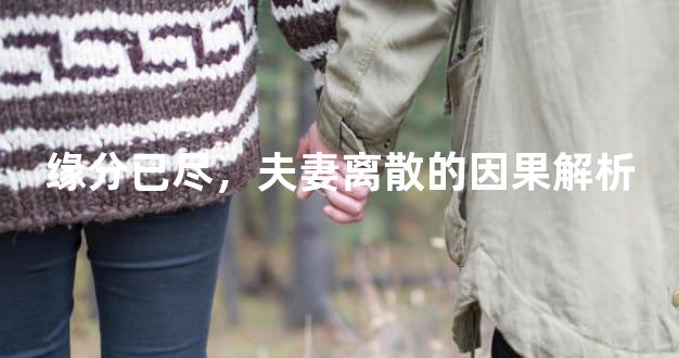 缘分已尽，夫妻离散的因果解析
