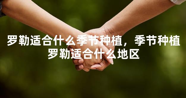 罗勒适合什么季节种植，季节种植罗勒适合什么地区