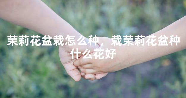 茉莉花盆栽怎么种，栽茉莉花盆种什么花好