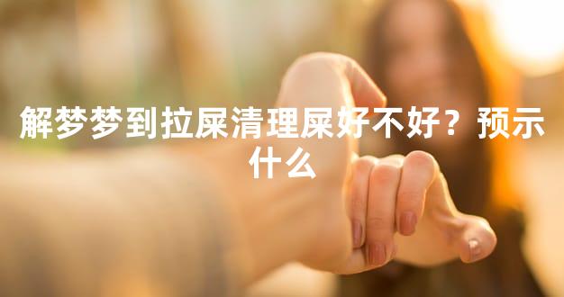 解梦梦到拉屎清理屎好不好？预示什么