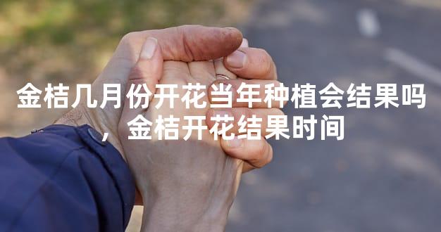 金桔几月份开花当年种植会结果吗，金桔开花结果时间