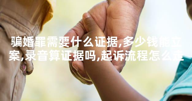 骗婚罪需要什么证据,多少钱能立案,录音算证据吗,起