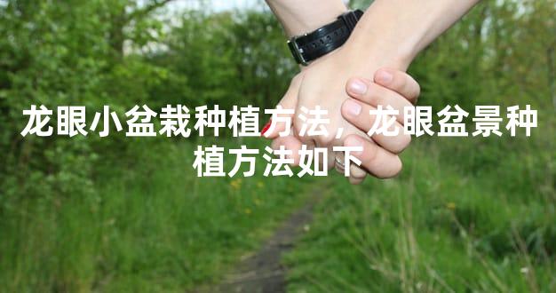 龙眼小盆栽种植方法，龙眼盆景种植方法如下
