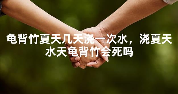 龟背竹夏天几天浇一次水，浇夏天水天龟背竹会死吗